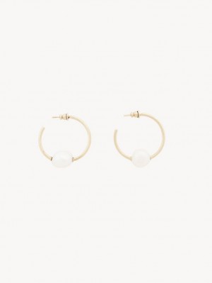 Boucles d'Oreilles Chloe Darcey Hoop Doré Blanche | CHE-SR14441