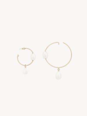 Boucles d'Oreilles Chloe Darcey Hoop Doré Blanche | CHE-SR14442