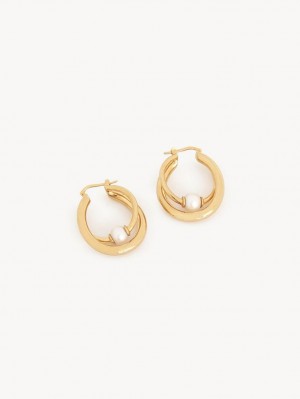 Boucles d'Oreilles Chloe Darcey Hoop Doré Clair | CHE-SR14456