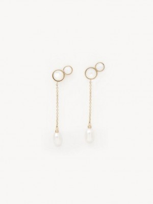 Boucles d'Oreilles Chloe Darcey Long Doré | CHE-SR14362