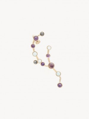 Boucles d'Oreilles Chloe Zodiac Aquarius Multicolore | CHE-SR14404