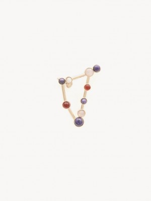 Boucles d'Oreilles Chloe Zodiac Capricorn Multicolore | CHE-SR14361