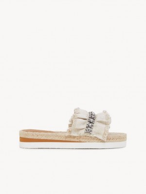 Chaussures Plates Chloe Mollie Espadrillas Argent | CHE-SR14801