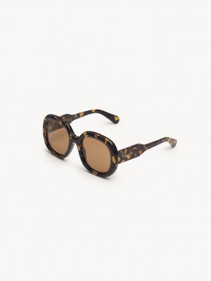 Lunette de Soleil Chloe Gayia Bordeaux | CHE-SR14577