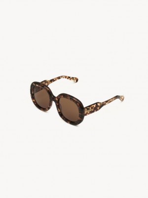 Lunette de Soleil Chloe Gayia Marble Havana | CHE-SR14578