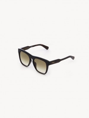 Lunette de Soleil Chloe Gayia Noir | CHE-SR14571