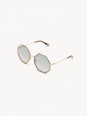 Lunette de Soleil Chloe Poppy Vert Rose | CHE-SR14534