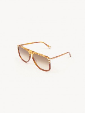 Lunette de Soleil Chloe West Havana Patchwork | CHE-SR14564