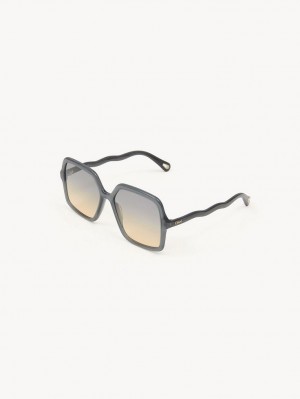 Lunette de Soleil Chloe Zelie Grise | CHE-SR14552