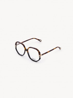 Lunettes Chloe West Havana | CHE-SR14584