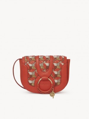 Mini Sacs Chloe Hana Orange | CHE-SR14761