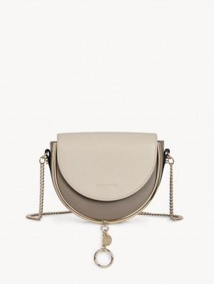 Mini Sacs Chloe Mara Evening Grise | CHE-SR14779