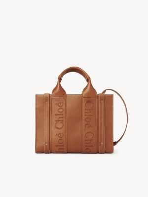 Mini Sacs Chloe Small Woody Tote Marron | CHE-SR13688