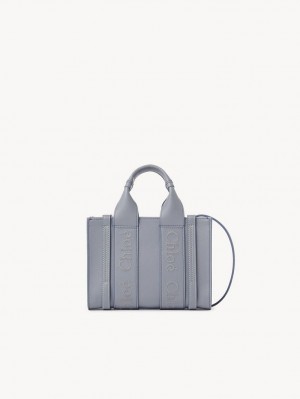 Mini Sacs Chloe Woody Tote 1 Bleu | CHE-SR13729