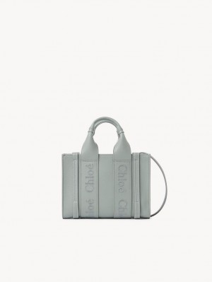 Mini Sacs Chloe Woody Tote 1 Vert | CHE-SR13697