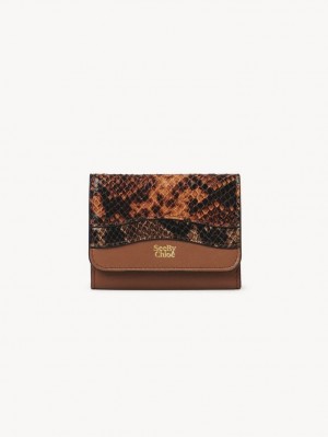 Petits Portefeuilles Chloe Layers Medium Tri-fold Marron | CHE-SR14899