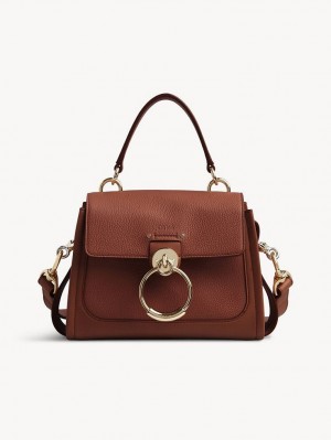 Sacs Crossbody Chloe Mini Tess Day Marron | CHE-SR13479