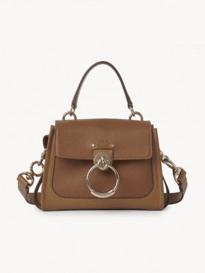 Sacs Crossbody Chloe Mini Tess Day Marron | CHE-SR13599