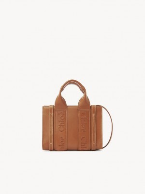 Sacs Crossbody Chloe Mini Woody Marron | CHE-SR13559