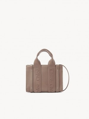 Sacs Crossbody Chloe Mini Woody Marron | CHE-SR13569