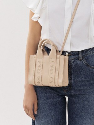 Sacs Crossbody Chloe Mini Woody Rose | CHE-SR13562