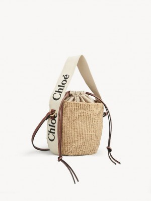 Sacs Crossbody Chloe Small Woody Basket Blanche | CHE-SR13609