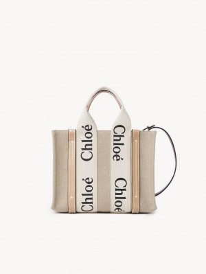 Sacs Crossbody Chloe Small Woody Blanche Beige | CHE-SR13490