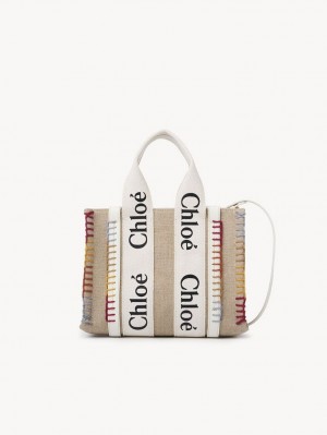 Sacs Crossbody Chloe Small Woody Blanche | CHE-SR13514