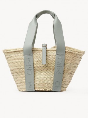 Sacs Fourre Tout Chloe Sense Medium Basket Vert | CHE-SR13383