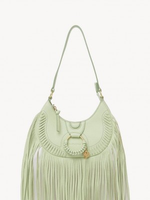 Sacs À Bandoulière Chloe Hana Half Moon Vert | CHE-SR14660