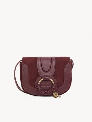 Sacs À Bandoulière Chloe Hana Mini Marron | CHE-SR14586