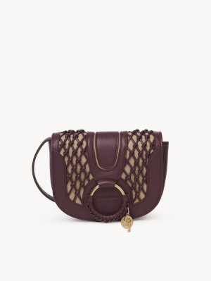 Sacs À Bandoulière Chloe Hana Mini Marron | CHE-SR14691