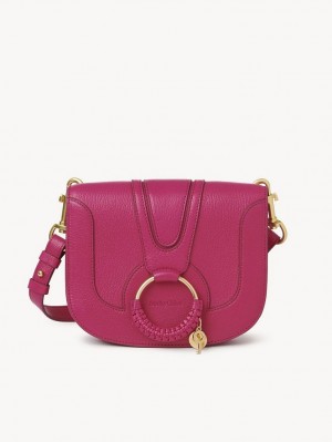 Sacs À Bandoulière Chloe Hana Rose | CHE-SR14615