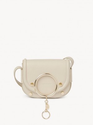 Sacs À Bandoulière Chloe Mara Small Beige | CHE-SR14618