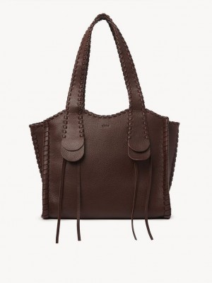 Sacs À Bandoulière Chloe Medium Mony Chocolat | CHE-SR13435