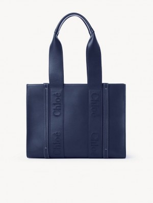 Sacs À Bandoulière Chloe Medium Woody Bleu | CHE-SR13432