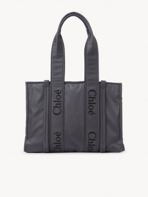 Sacs À Bandoulière Chloe Medium Woody Grise | CHE-SR13427