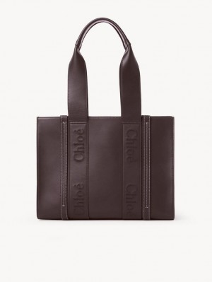 Sacs À Bandoulière Chloe Medium Woody Noir | CHE-SR13431