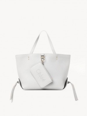 Sacs À Bandoulière Chloe Sense Small East-west Blanche | CHE-SR13421