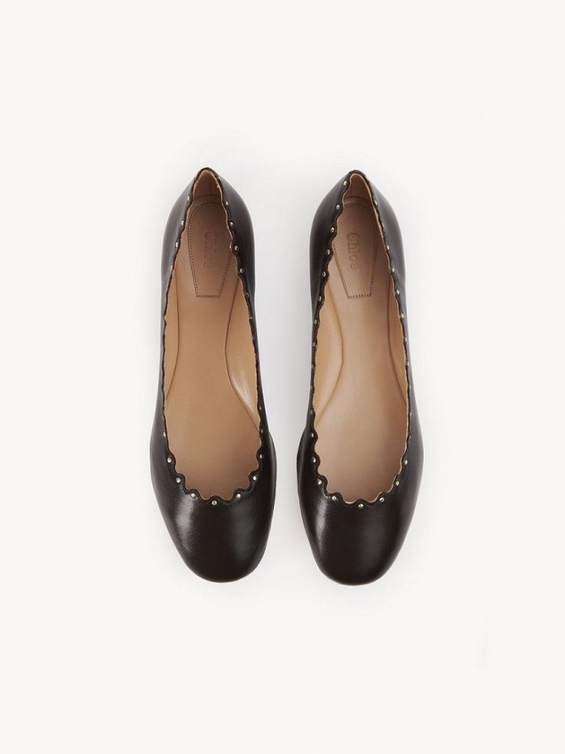 Ballet Flat Chloe Lauren Chocolat | CHE-SR14253