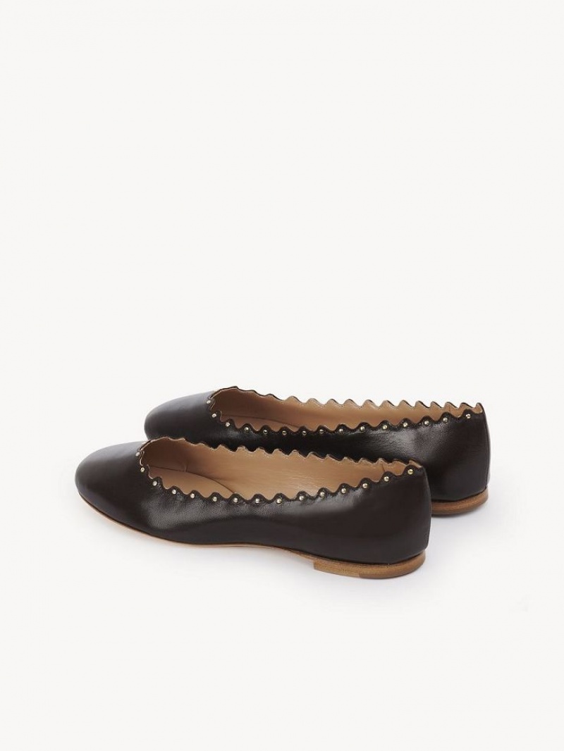 Ballet Flat Chloe Lauren Chocolat | CHE-SR14253