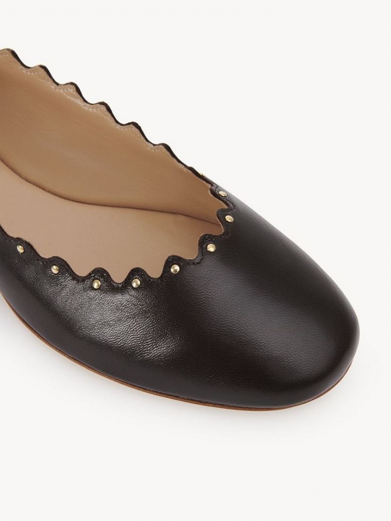 Ballet Flat Chloe Lauren Chocolat | CHE-SR14253