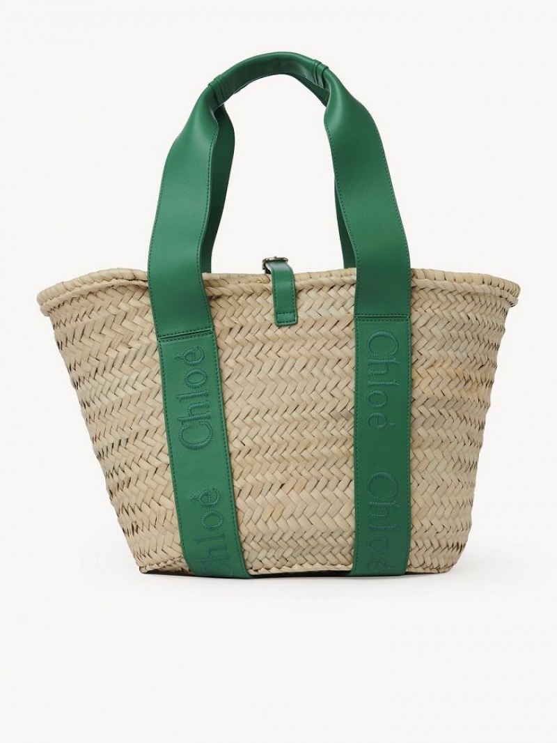 Baskets Chloe Sense Medium Vert | CHE-SR13641