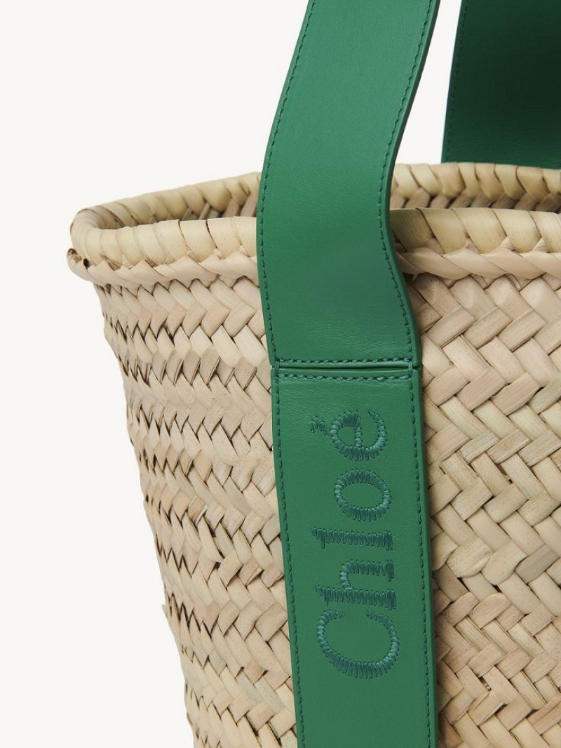 Baskets Chloe Sense Medium Vert | CHE-SR13641