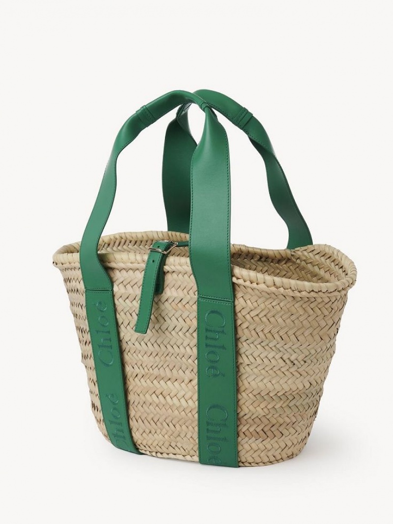 Baskets Chloe Sense Medium Vert | CHE-SR13641