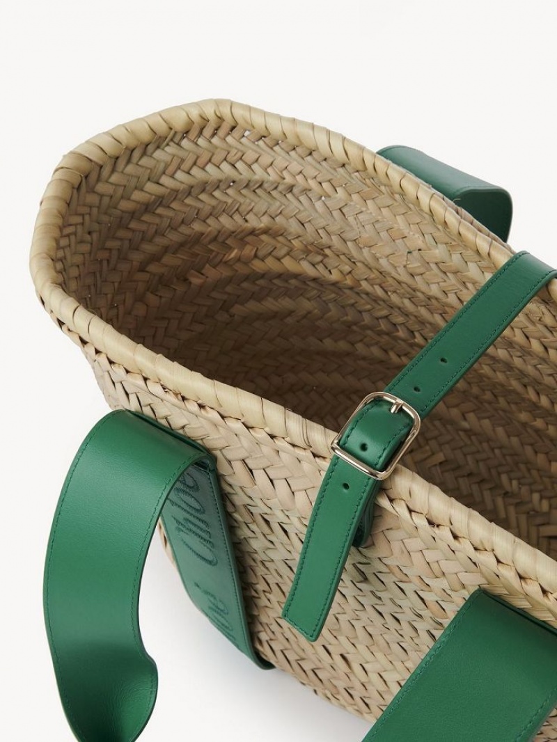 Baskets Chloe Sense Medium Vert | CHE-SR13641