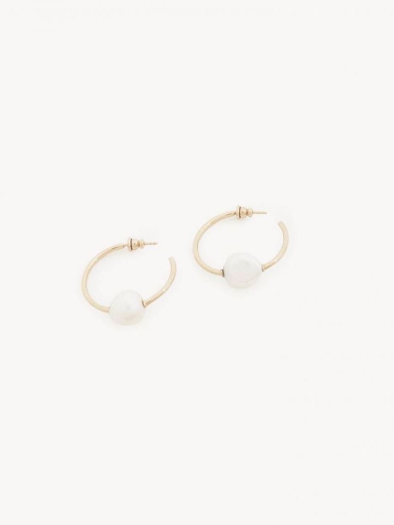 Boucles d'Oreilles Chloe Darcey Hoop Doré Blanche | CHE-SR14441