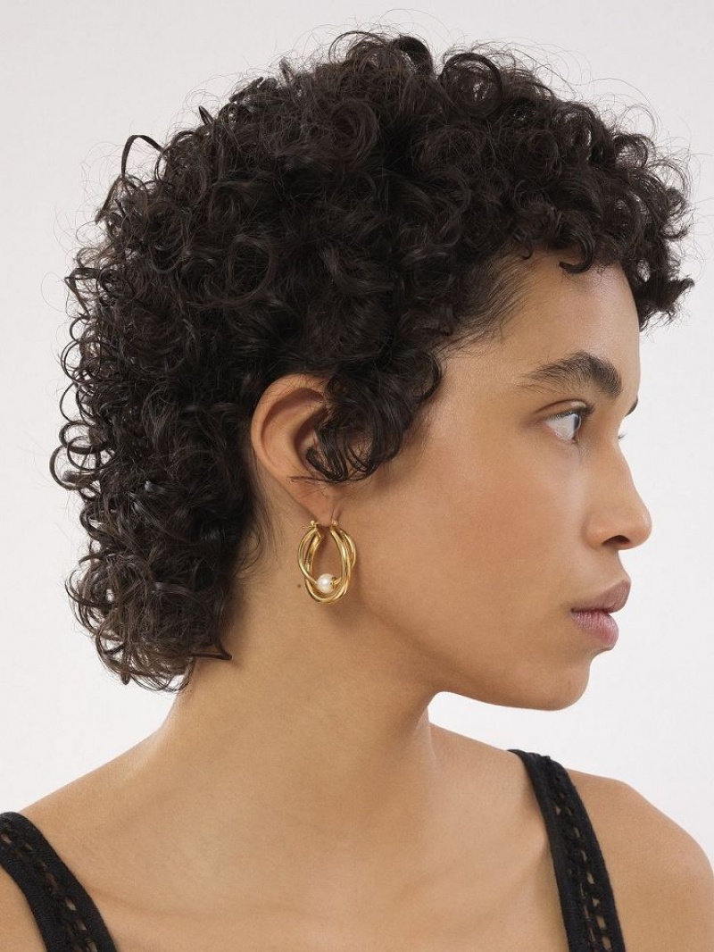 Boucles d'Oreilles Chloe Darcey Hoop Doré Clair | CHE-SR14456