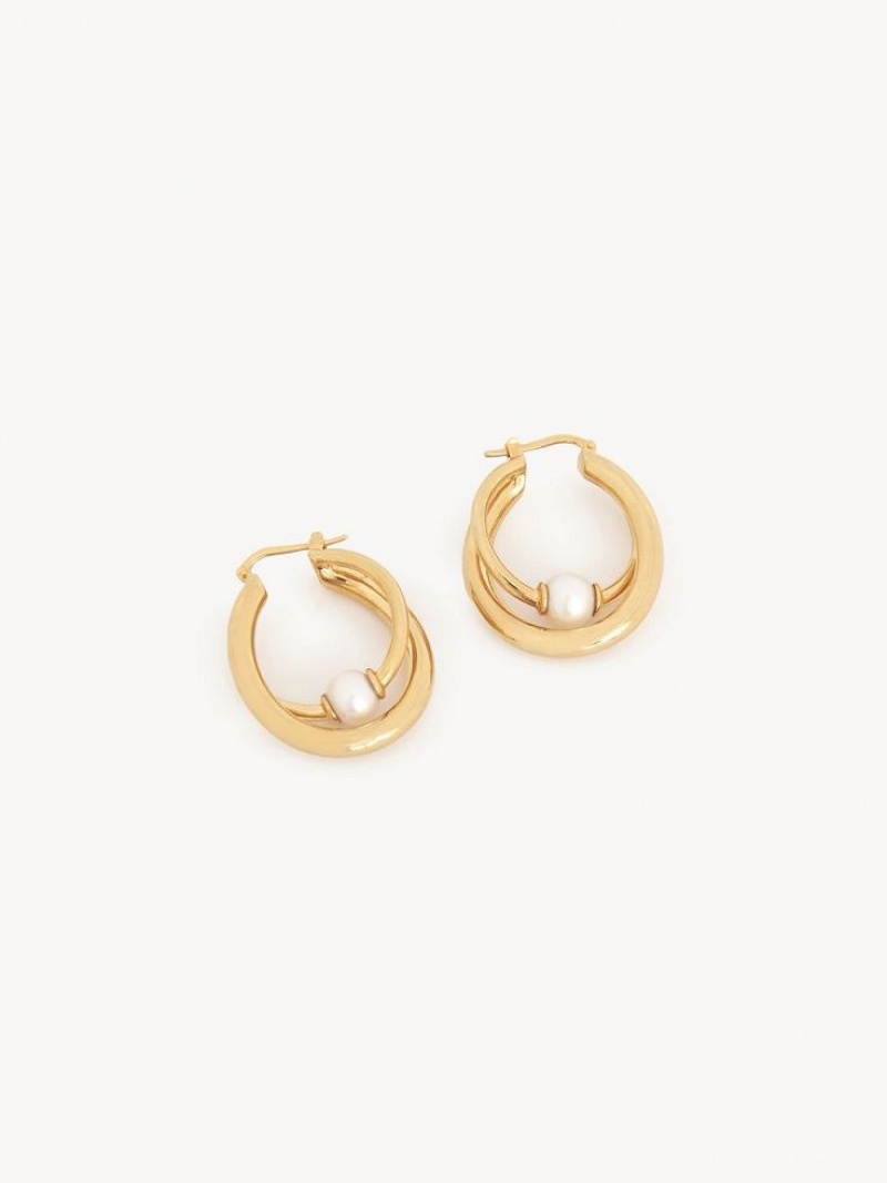 Boucles d\'Oreilles Chloe Darcey Hoop Doré Clair | CHE-SR14456