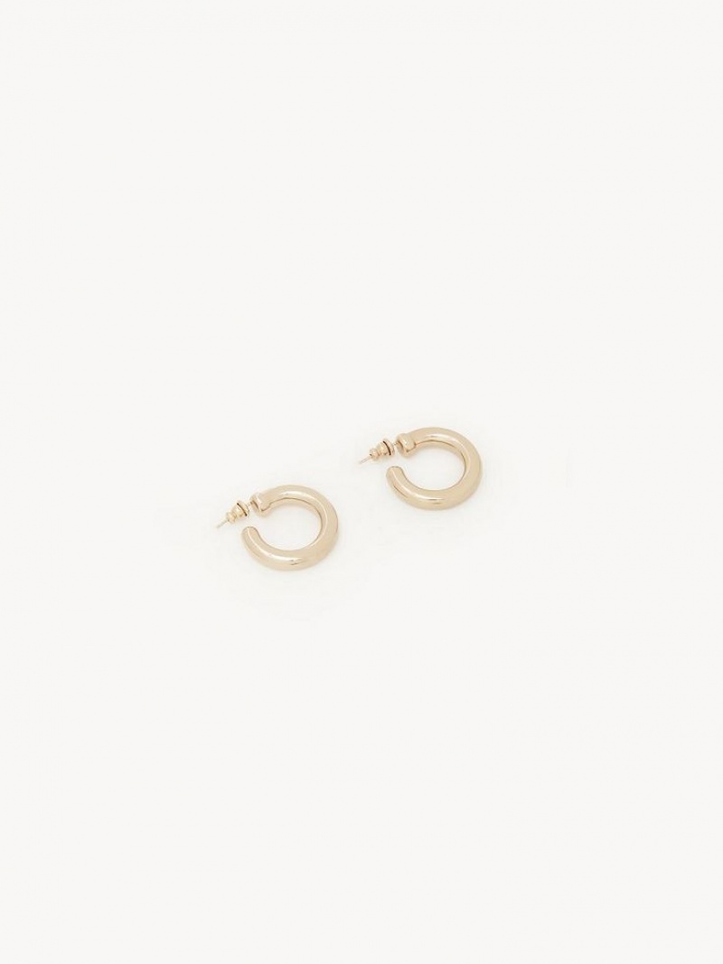 Boucles d\'Oreilles Chloe Maura Hoops Doré | CHE-SR14359